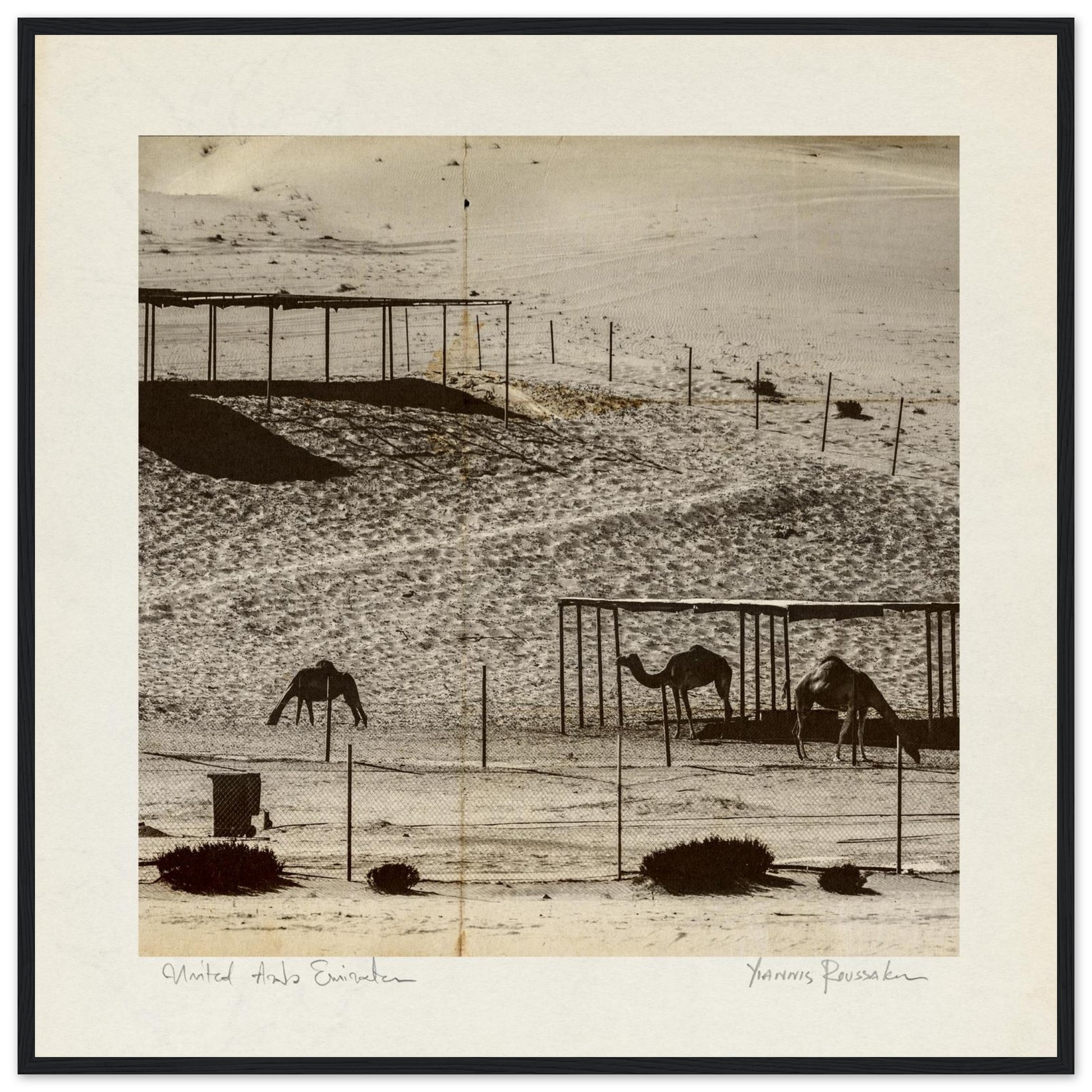 ea85094a-56e2-4901-aaf5-9ba15bd700a5