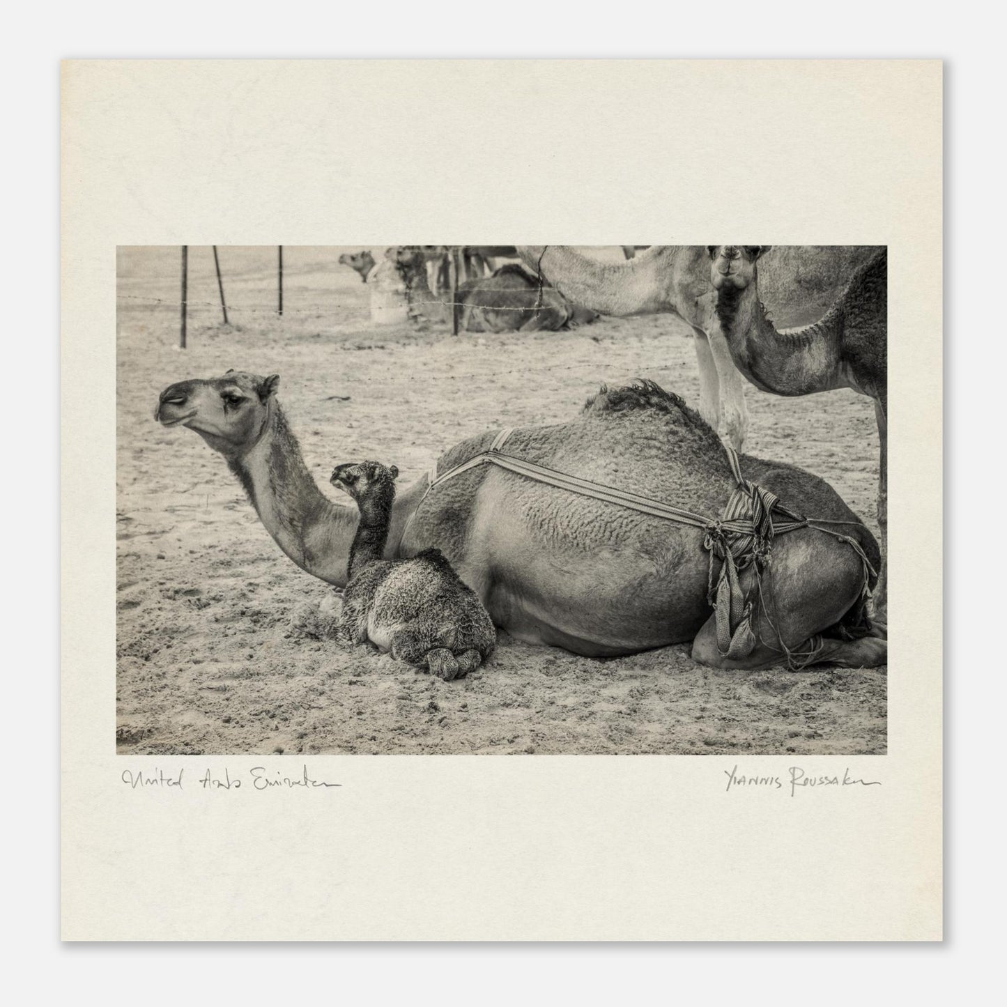 eca1b0da-7151-4311-a454-0db07005be05