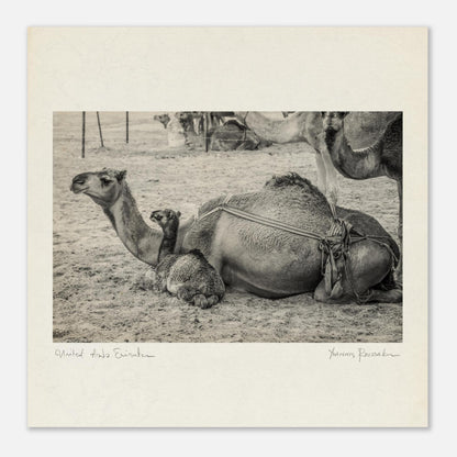 eca1b0da-7151-4311-a454-0db07005be05