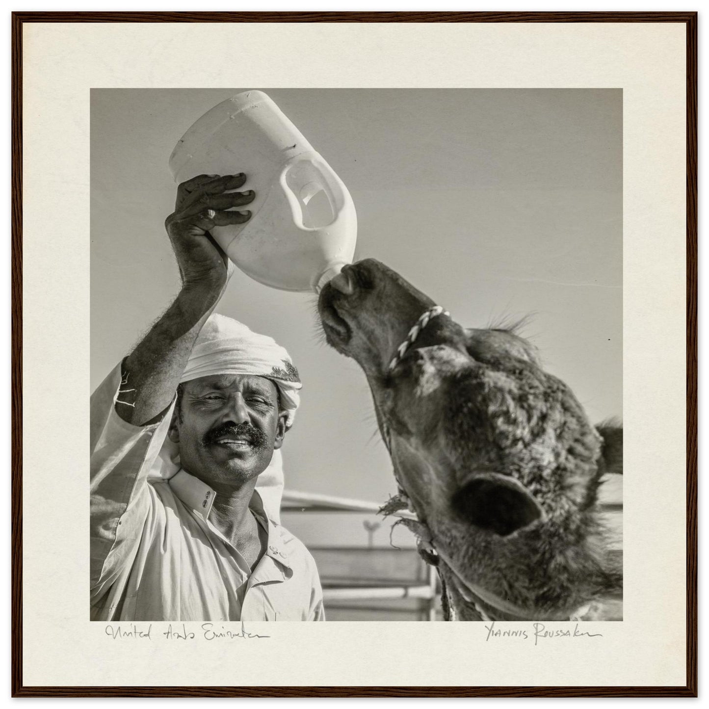 ed3e6d14-8013-4264-a364-b2577592dae4