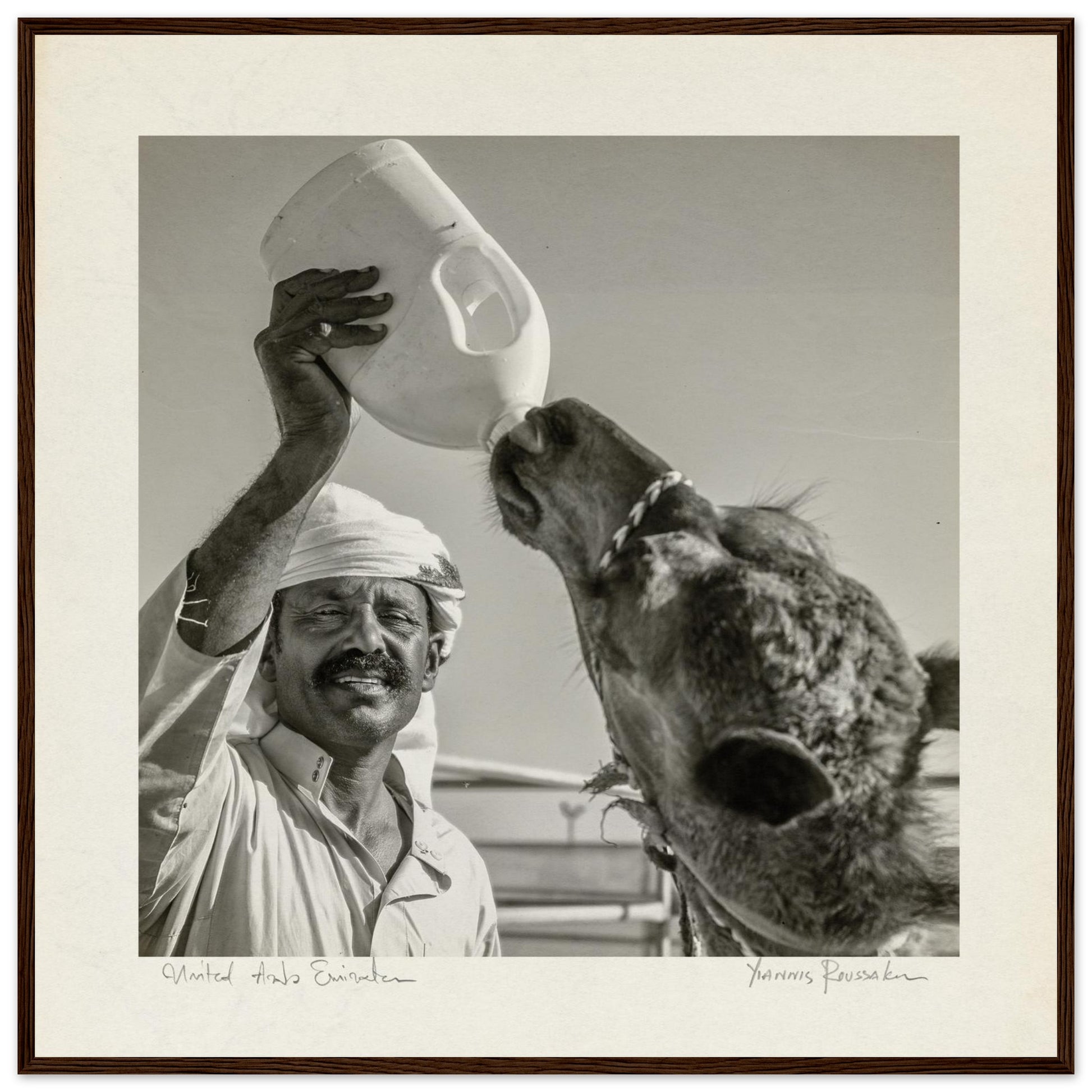 ed3e6d14-8013-4264-a364-b2577592dae4