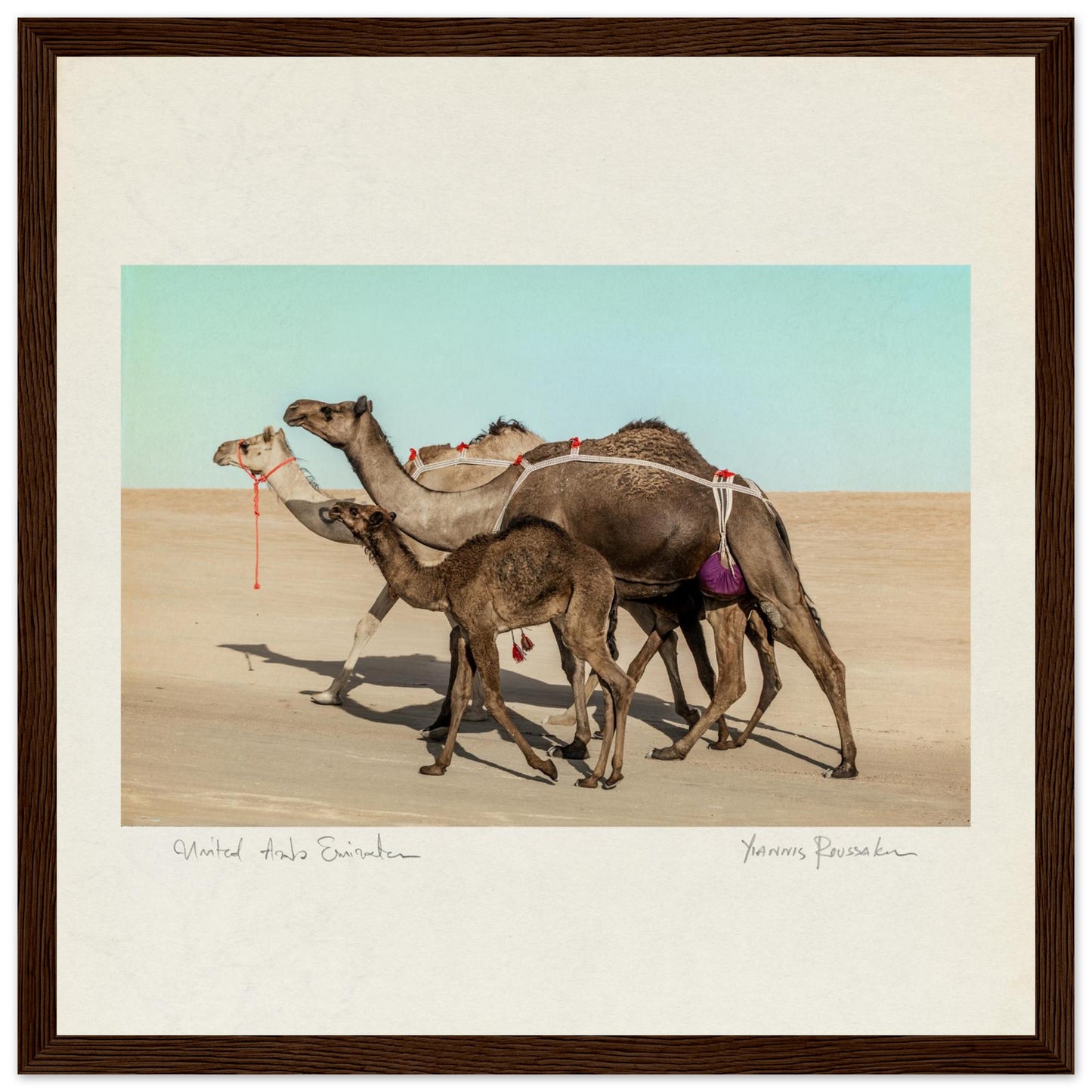 ef5e289c-6752-4d18-a5d5-ffac89951a1d