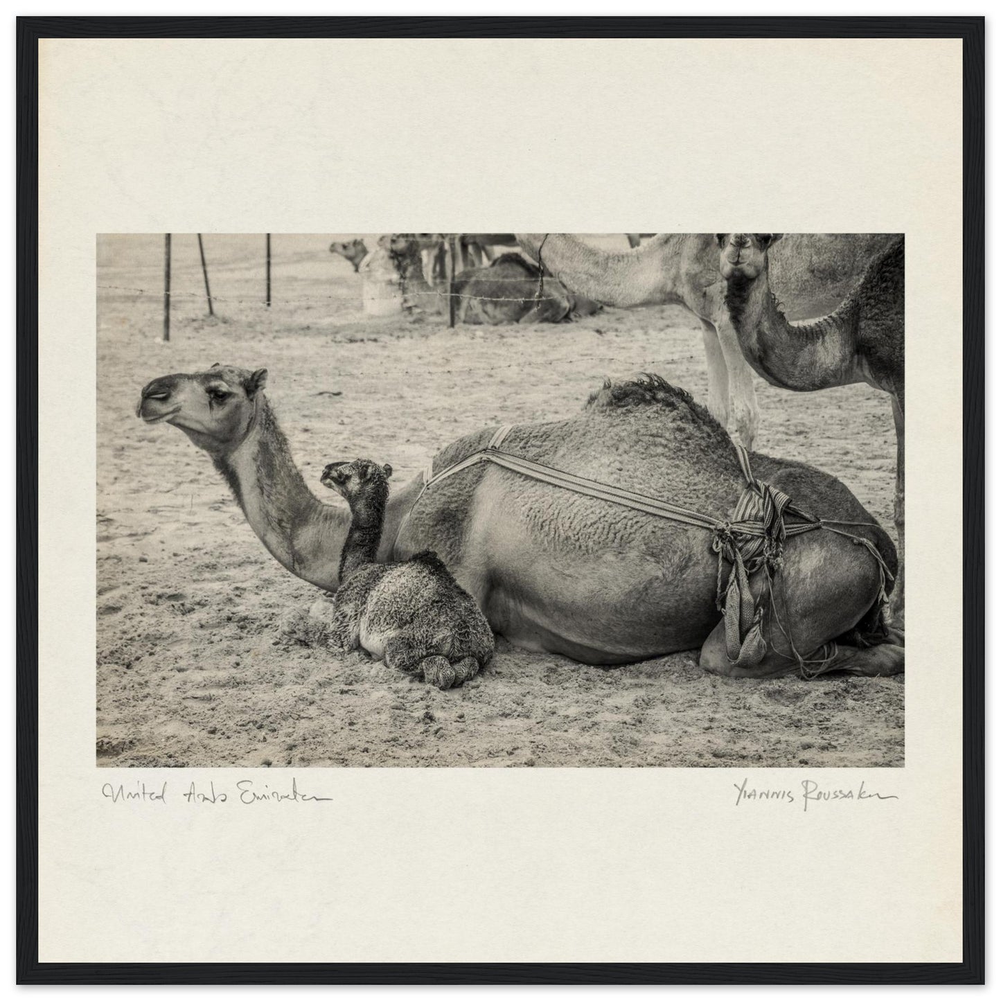 ef81628d-c688-49b5-9972-bac09ac08c8f