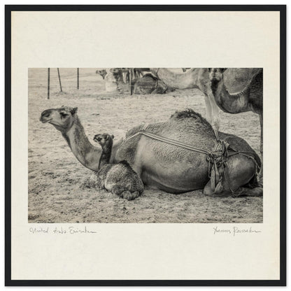 ef81628d-c688-49b5-9972-bac09ac08c8f