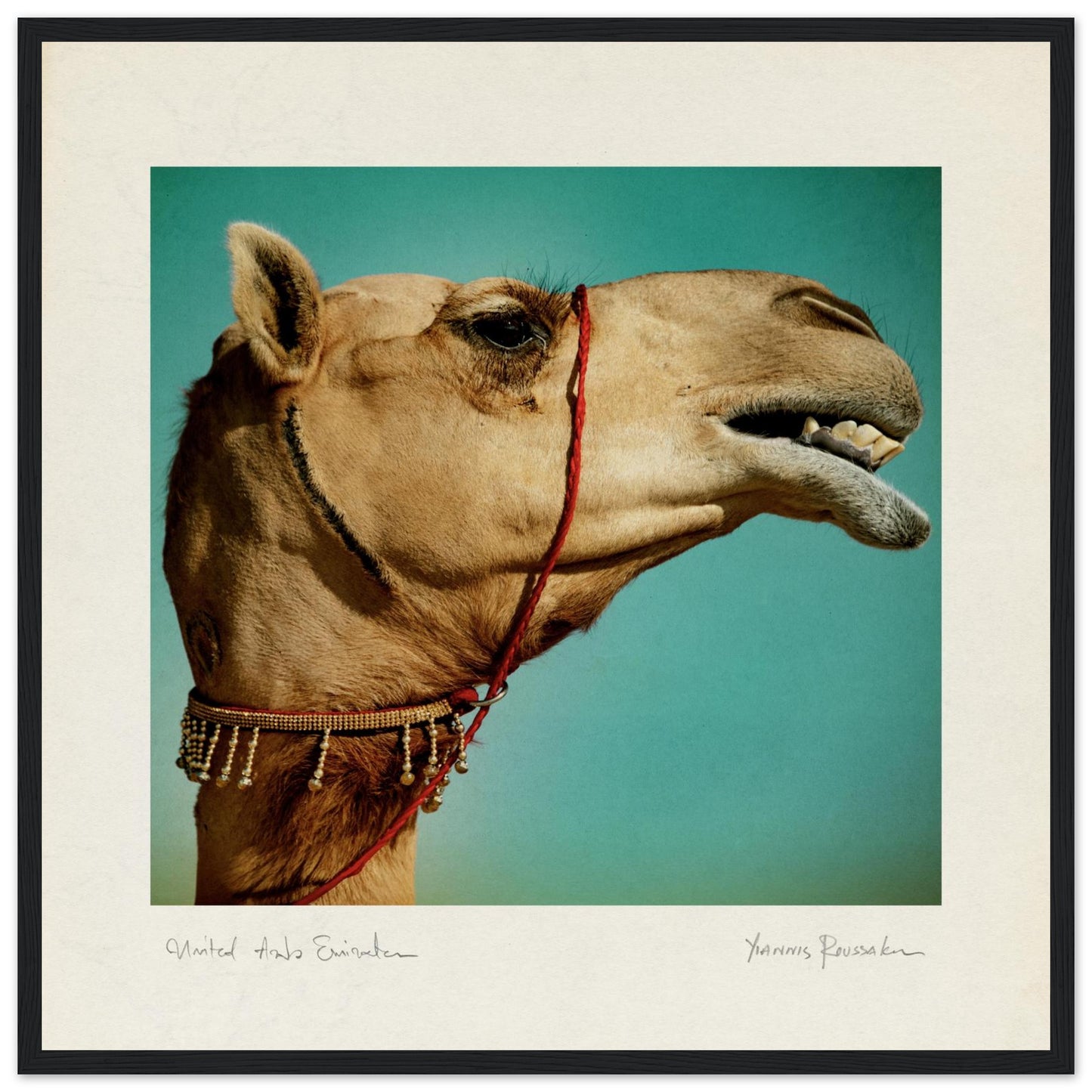 f03d0f87-7764-45f8-b5bb-80537c5c8fe5