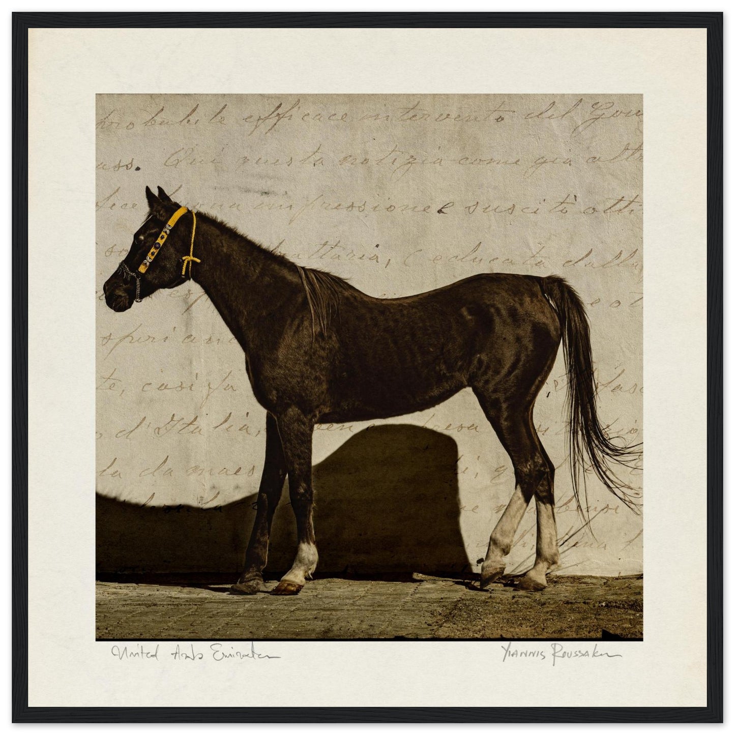 f1b92dfe-c825-4414-8672-1222ff5d8a0b