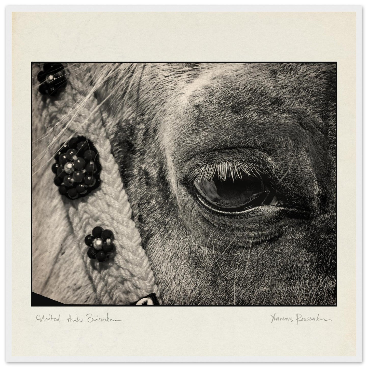 f4e3cd1d-a2d7-4a65-9c6f-9ca40b9da73b