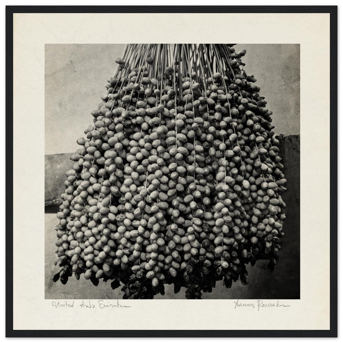 f5504083-6159-4bdd-b501-3a06199af2a3