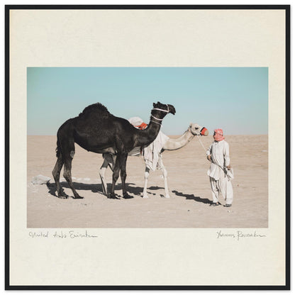 f6fcf577-d860-43b3-bb71-741d54250eda