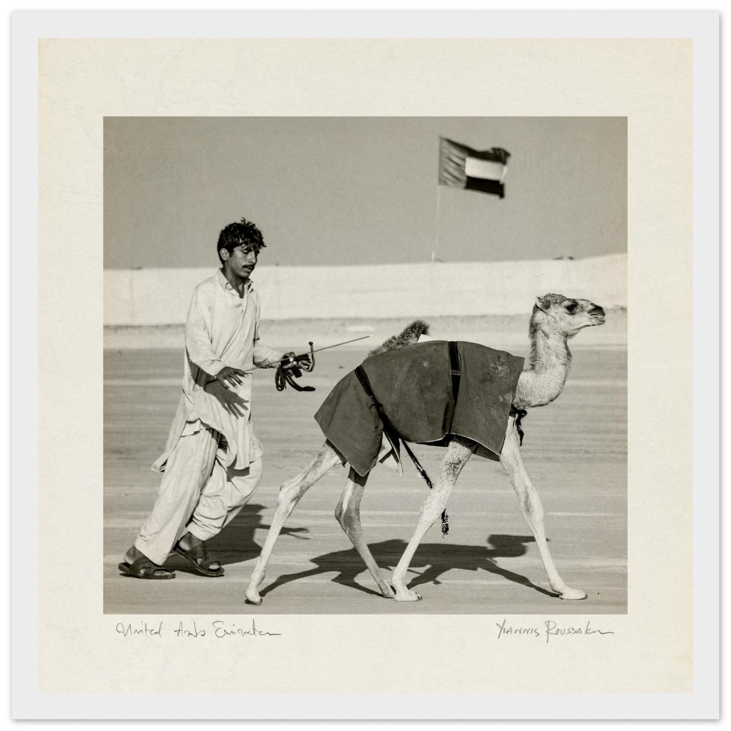 f9063881-1035-4d0a-be9f-8a0e374d1d4d