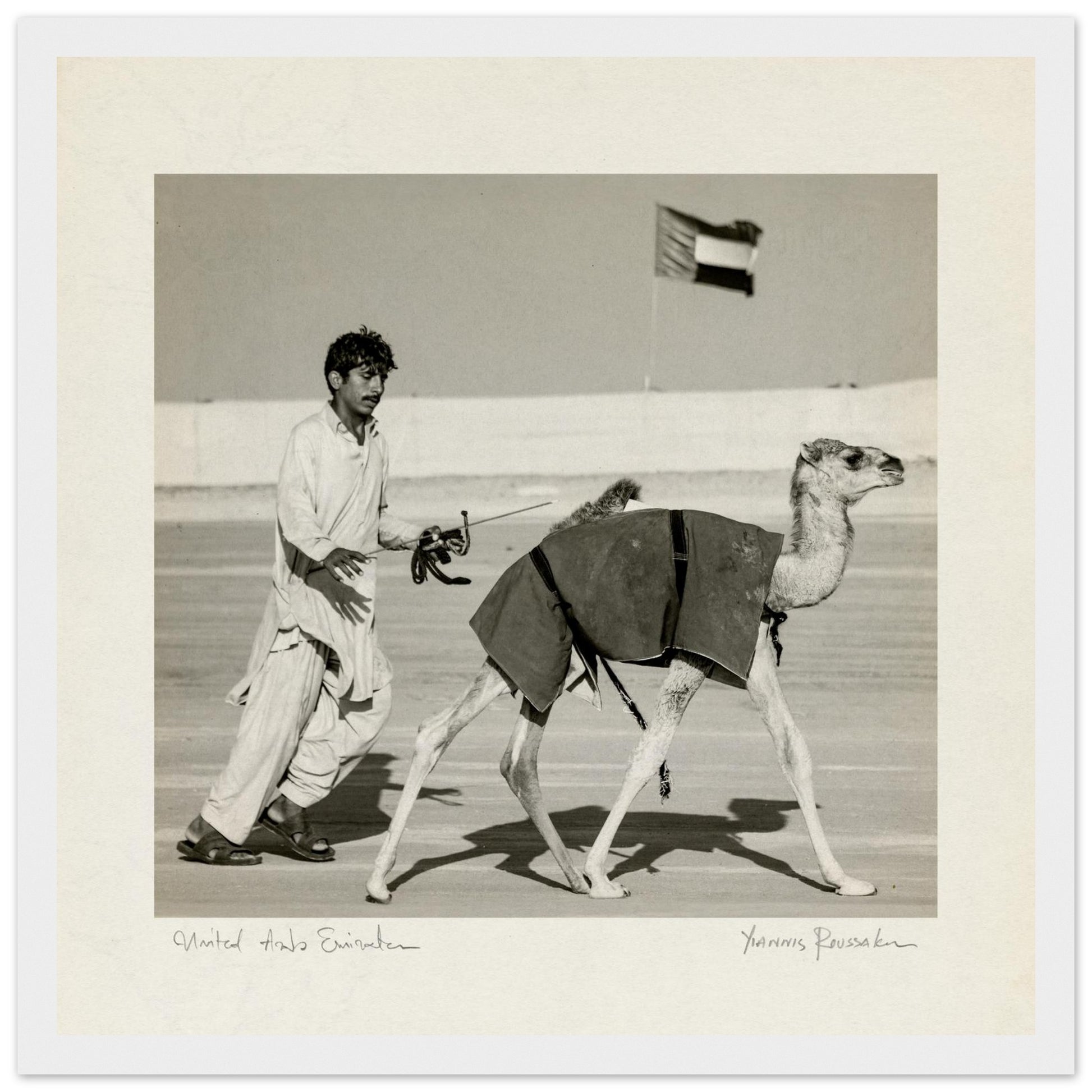 f9063881-1035-4d0a-be9f-8a0e374d1d4d