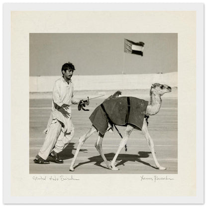 f9063881-1035-4d0a-be9f-8a0e374d1d4d