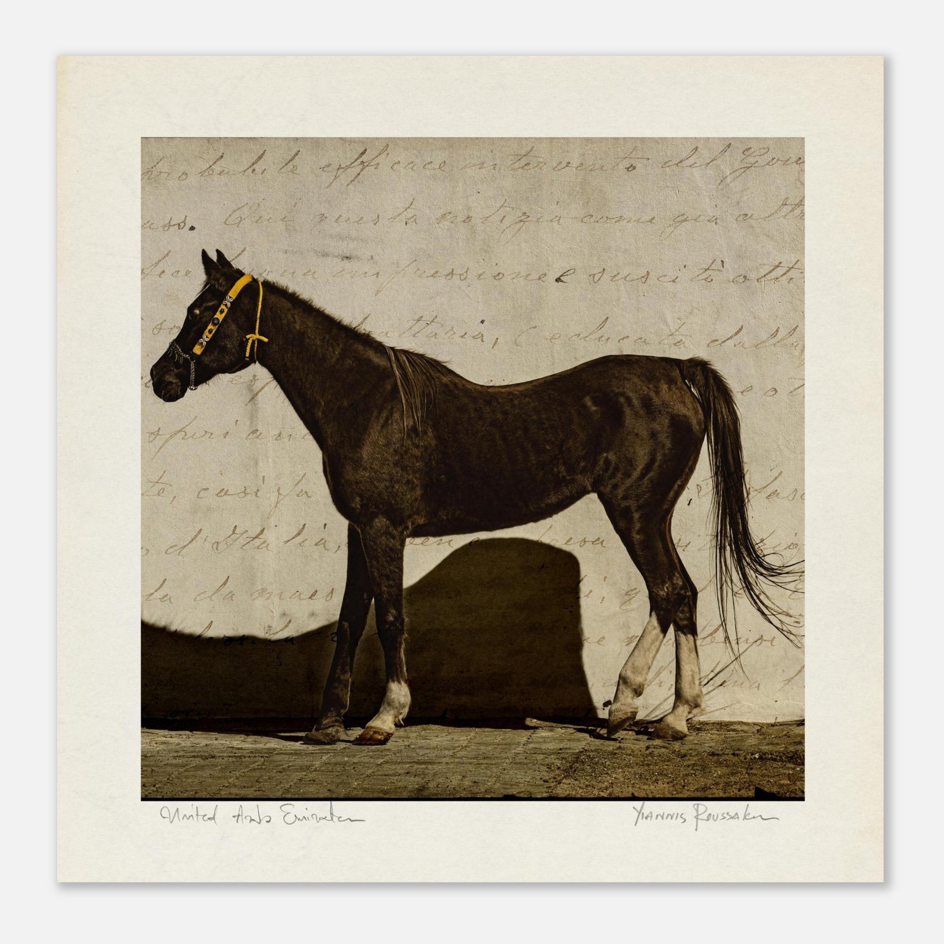 fa7b88a7-6df5-41ce-8c89-326382b98bef