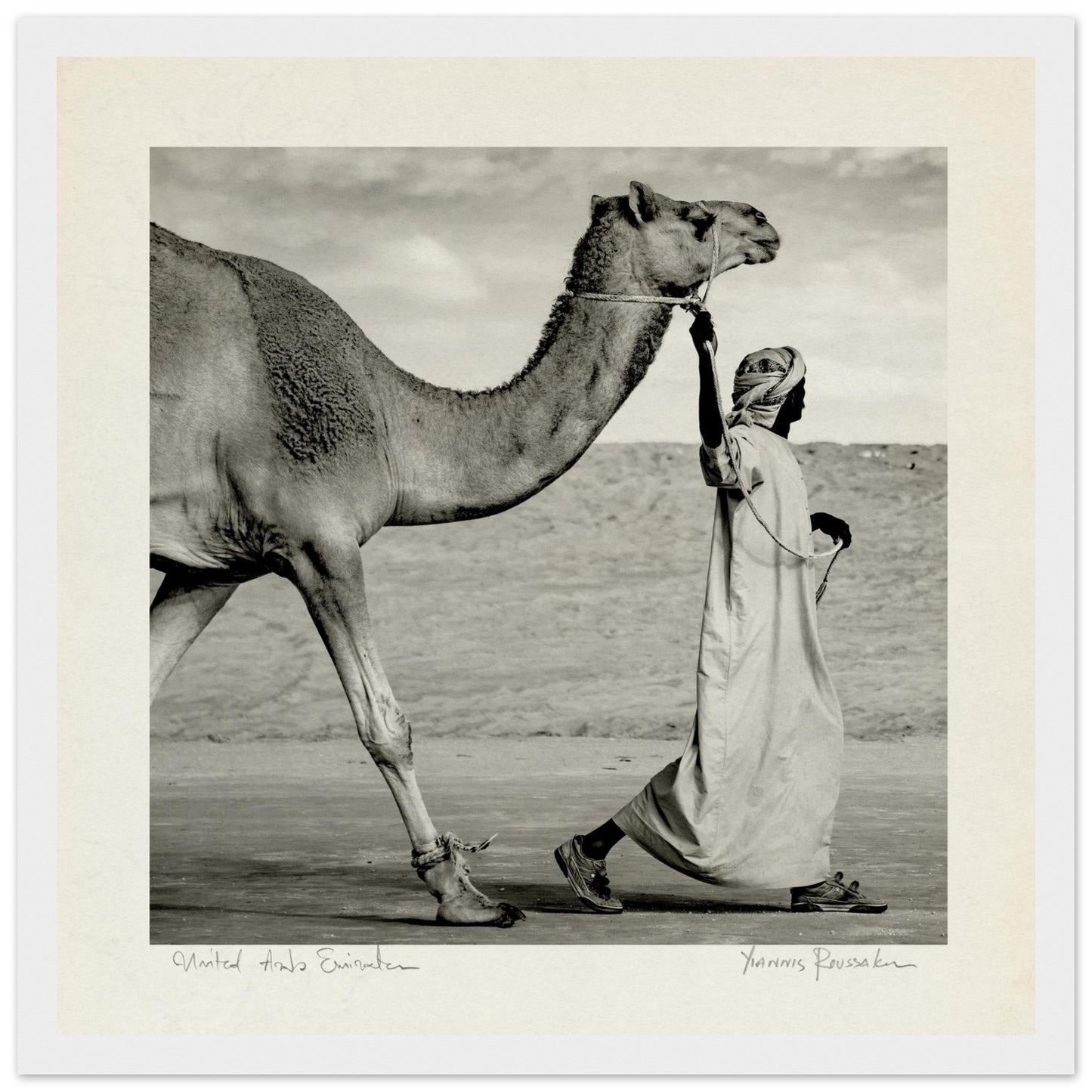 fb9f24ff-2d4a-4f36-bb54-0b55c6a92f3c