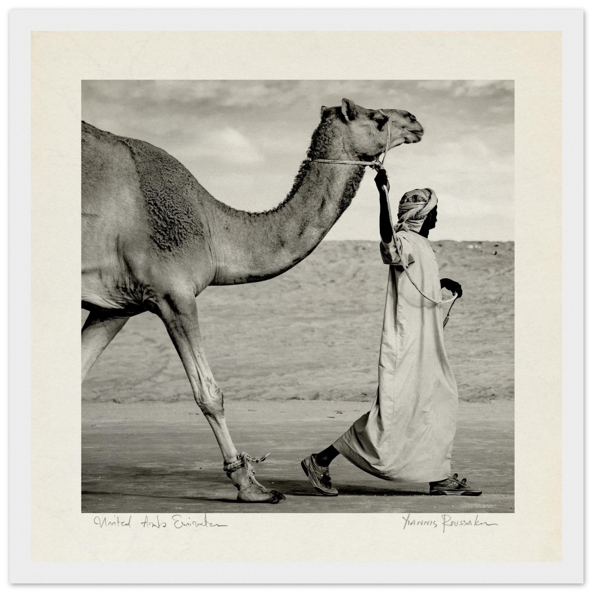 fb9f24ff-2d4a-4f36-bb54-0b55c6a92f3c