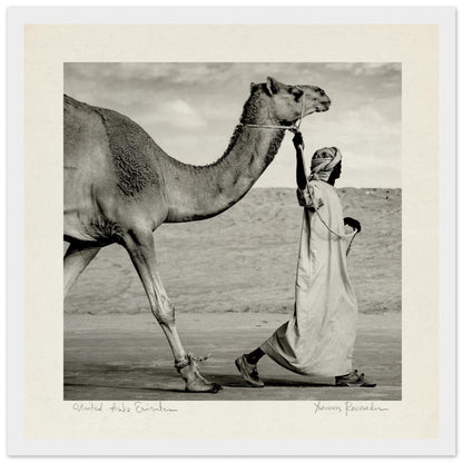 fb9f24ff-2d4a-4f36-bb54-0b55c6a92f3c