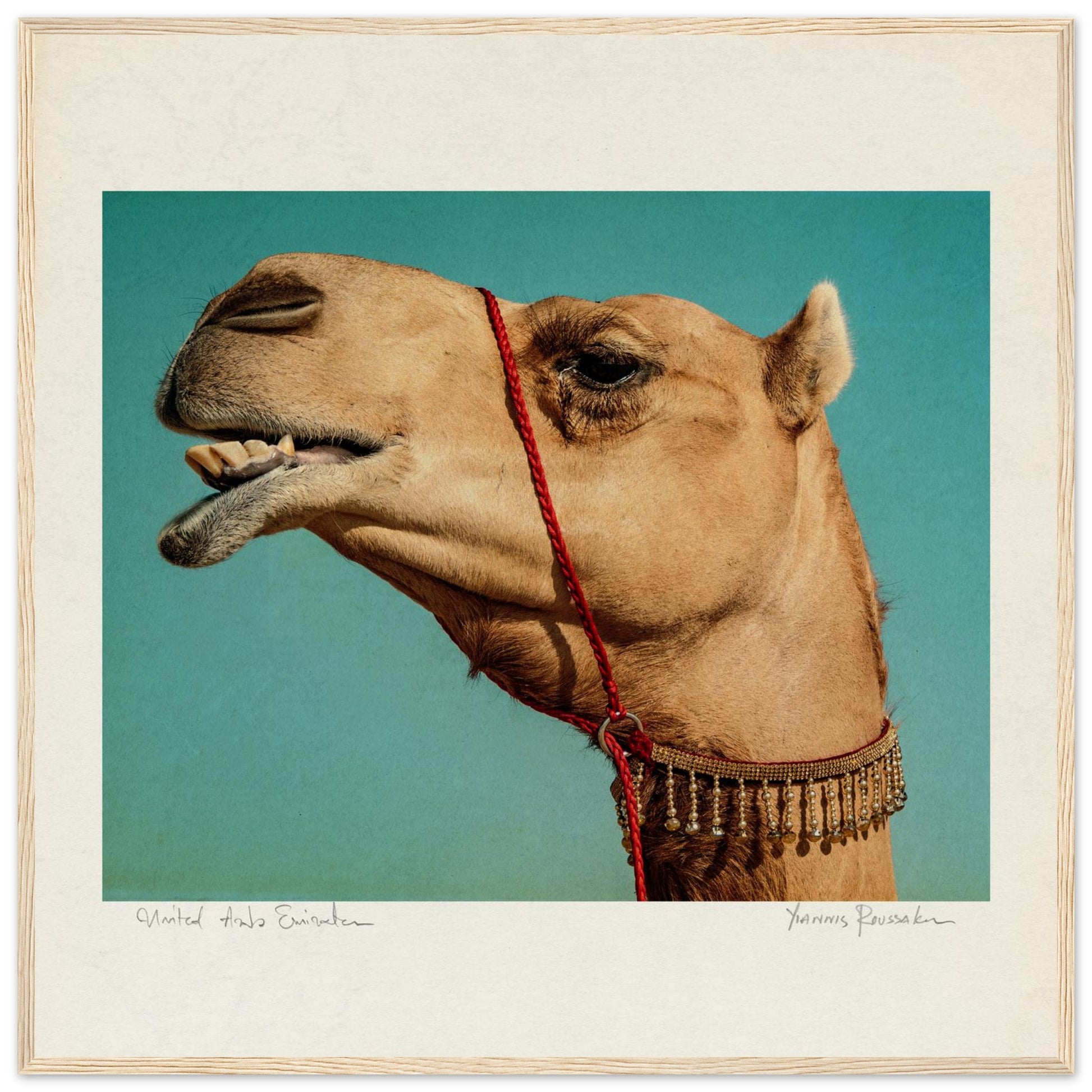 fc2fd349-216e-4ed3-9fc6-93dbb1155c4c