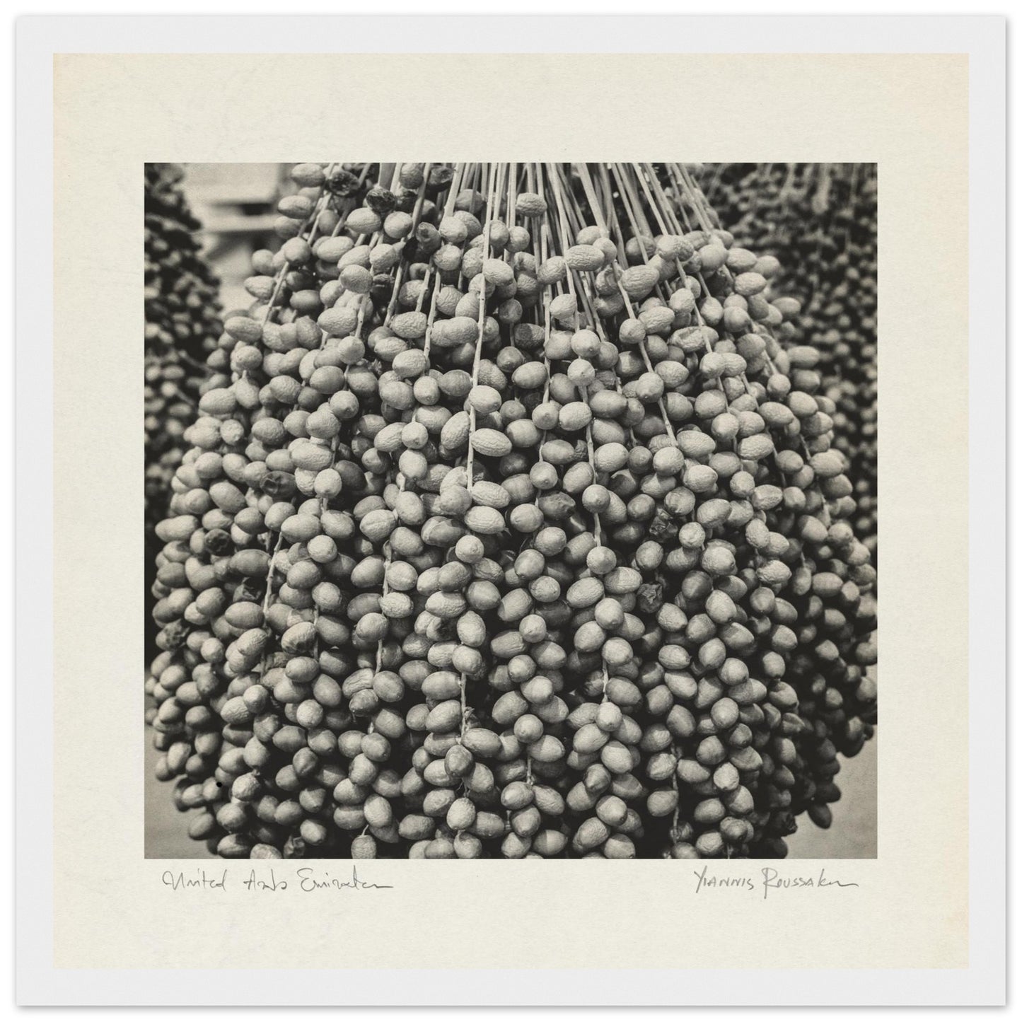 fc372845-3caa-4ba2-b6b2-17c4a3257e34