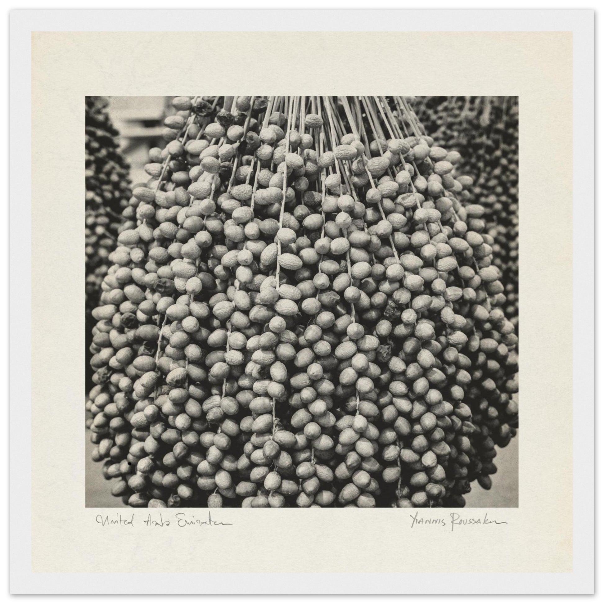 fc372845-3caa-4ba2-b6b2-17c4a3257e34