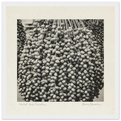 fc372845-3caa-4ba2-b6b2-17c4a3257e34