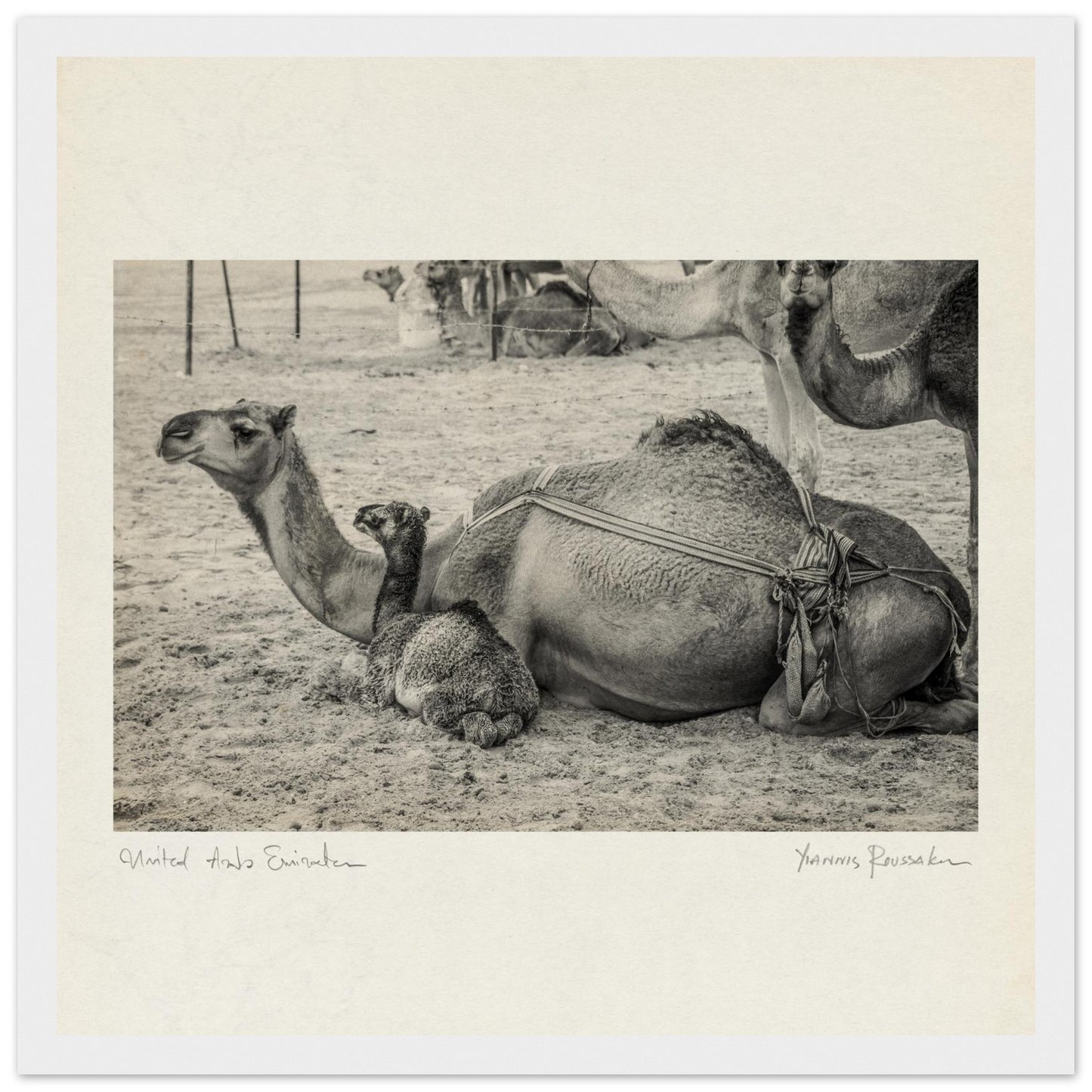 fdbff59e-ed4d-42f2-8ff7-2c2e82c2d977