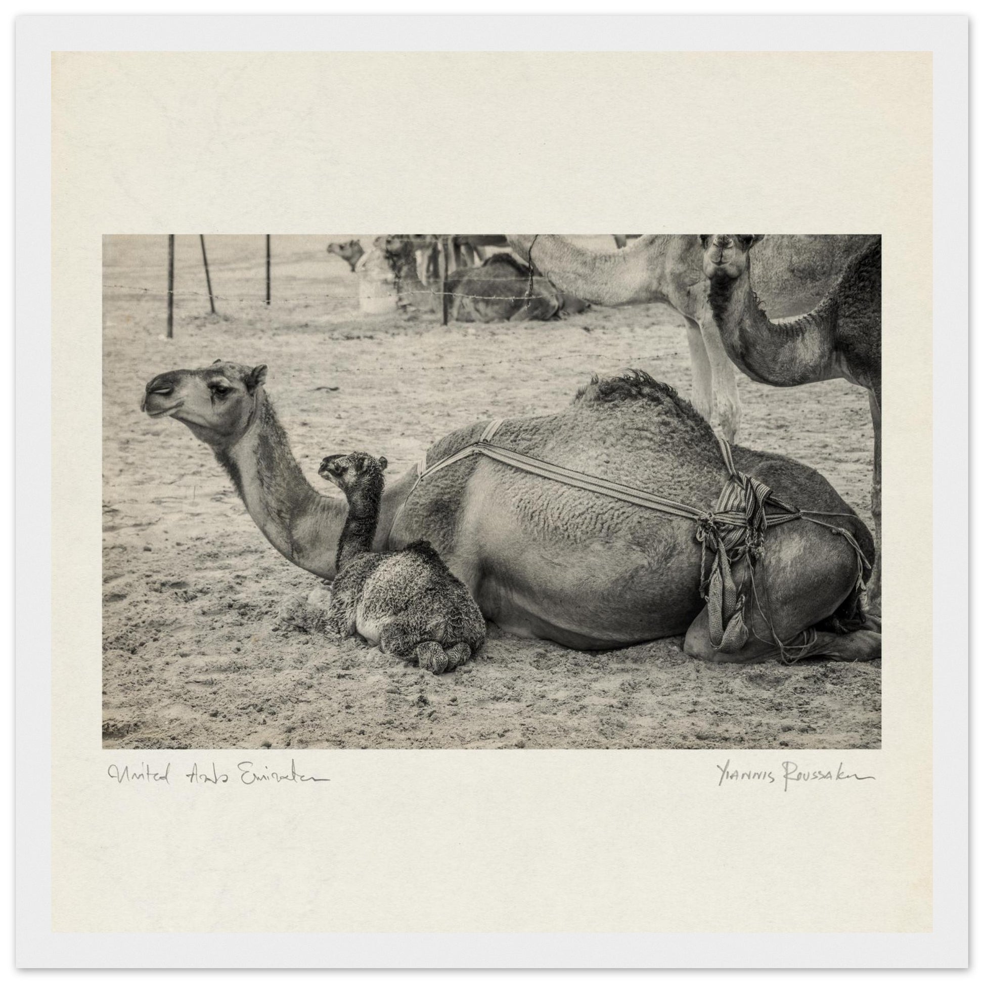 fdbff59e-ed4d-42f2-8ff7-2c2e82c2d977