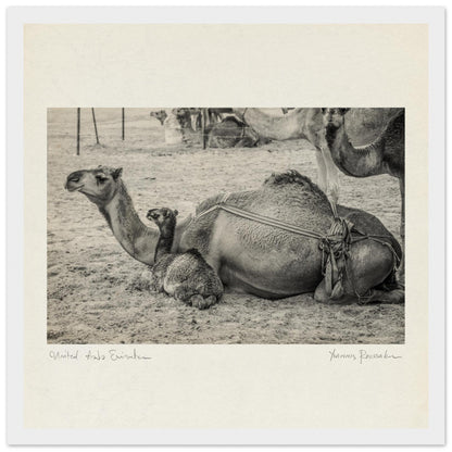 fdbff59e-ed4d-42f2-8ff7-2c2e82c2d977