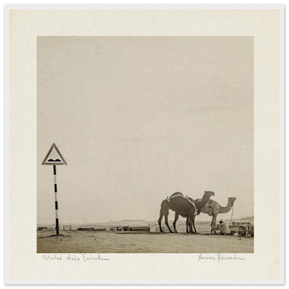 fdff7a10-17c1-43bd-b26a-155b4cd86615