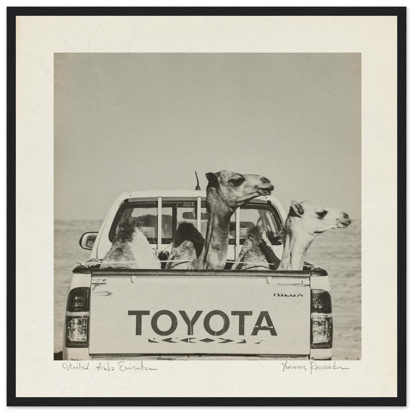 fe180e8d-b4c3-4a0b-a24a-122675ccc2eb