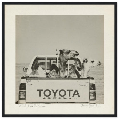 fe180e8d-b4c3-4a0b-a24a-122675ccc2eb