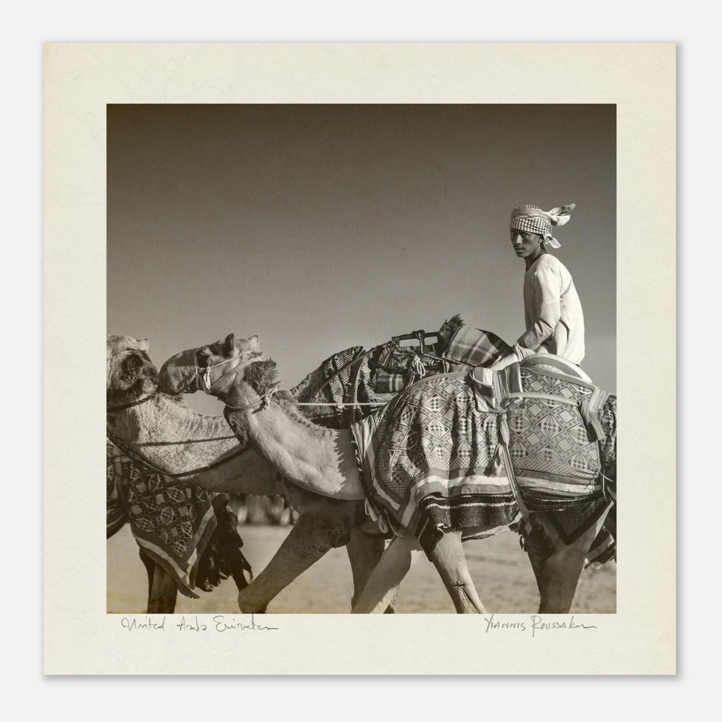 fefdec16-750c-4eda-85d4-26d0f59dff6b